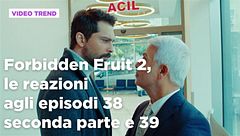 Forbidden Fruit 2, il riassunto e le reazioni agli episodi 38 seconda parte - 39