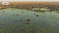 Wild Argentina