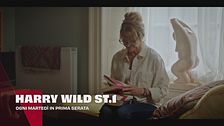 Harry Wild - La signora del delitto