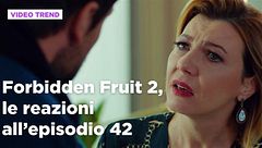 Forbidden Fruit 2, il riassunto e le reazioni all'episodio 42