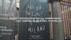 Pietro Terzini in mostra all'Ambrosiana con Are You In Love? No I'm In Milano