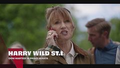 Harry Wild - La signora del delitto