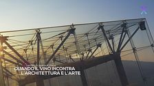 Cantine di design in Italia: quando il vino incontra l'architettura e l'arte