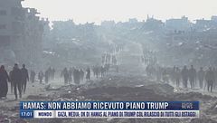 Breaking News delle 17.00 | Hamas: non abbiamo ricevuto piano Trump