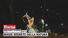 Magie segrete della natura