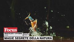 Magie segrete della natura