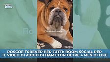 L'addio a Roscoe fa il giro del mondo
