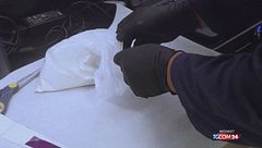 Cocaina e hashish dominano i mercati della droga