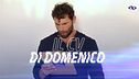 Il CV di Domenico