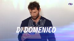 Il CV di Domenico