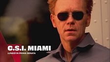 C.S.I. Miami