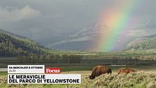 Le meraviglie del parco di Yellowstone