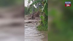 Filippine, uomo si aggrappa a un albero durante un'alluvione