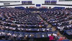 L'Eurocamera approva l'immunità a Ilaria Salis