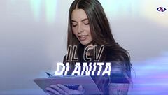 Il CV di Anita