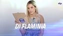 Il CV di Flaminia