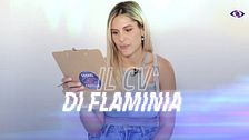 Il CV di Flaminia