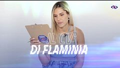 Il CV di Flaminia