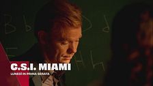C.S.I. Miami