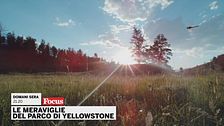Le meraviglie del parco di Yellowstone