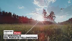 Le meraviglie del parco di Yellowstone