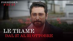 Le trame dal 27 al 31 ottobre