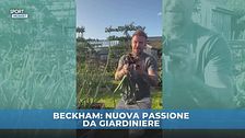 Beckham futuro da giardiniere