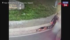 Napoli, cane trascinato per 6 km con e-bike