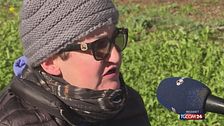 Mucca in fuga in Brianza: "C'è paura"