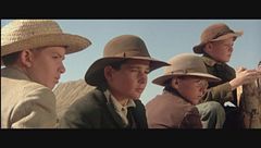 I cowboys