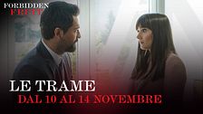 Le trame dal 10 al 14 novembre