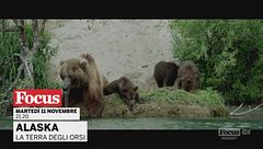 Alaska - La terra degli orsi