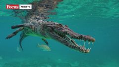 Cuba: meraviglie della natura