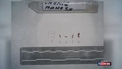 Garlasco, "incompleto e misto il Dna sulle unghie di Chiara Poggi"