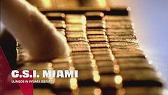 C.S.I. Miami