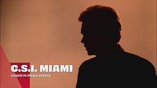 C.S.I. Miami