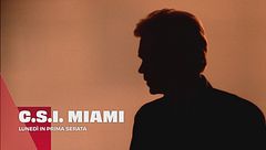 C.S.I. Miami