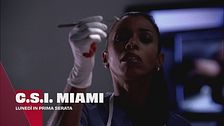C.S.I. Miami
