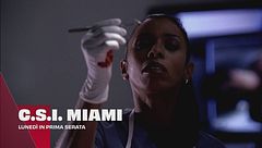 C.S.I. Miami