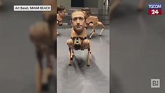 Cani-robot con le teste di Musk e Bezos producono NFT come escrementi