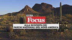 Alla scoperta dei parchi nazionali del Nord America