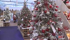 L'intelligenza artificiale arriva sotto l'albero