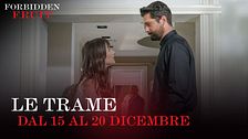Le trame dal 15 al 19 dicembre