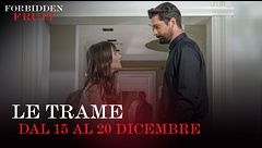 Le trame dal 15 al 19 dicembre