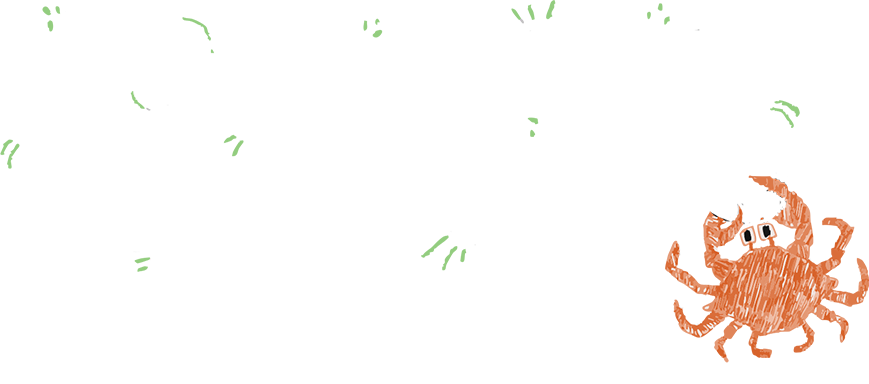 Ho preso un granchio 2