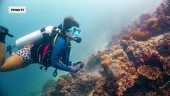 L'oceano Indiano e le sue isole simbolo