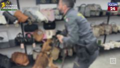 Siracusa, una villa trasformata in showroom e maschere: così vendevano falsi di lusso online