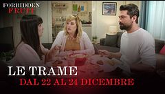 Le trame dal 22 al 24 dicembre