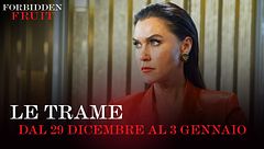 Le trame dal 29 dicembre al 3 gennaio