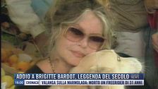 Breaking News delle 16.00 | Addio a Brigitte Bardot, leggenda del secolo
